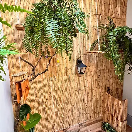 Samba Hostal