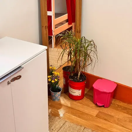 Samba Auberge de jeunesse *