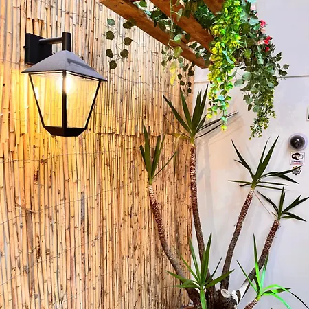 Auberge de jeunesse Samba *