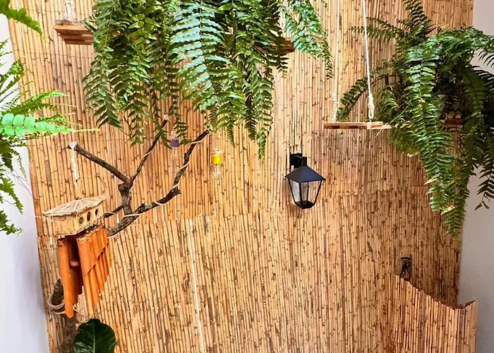 Samba بيت شباب