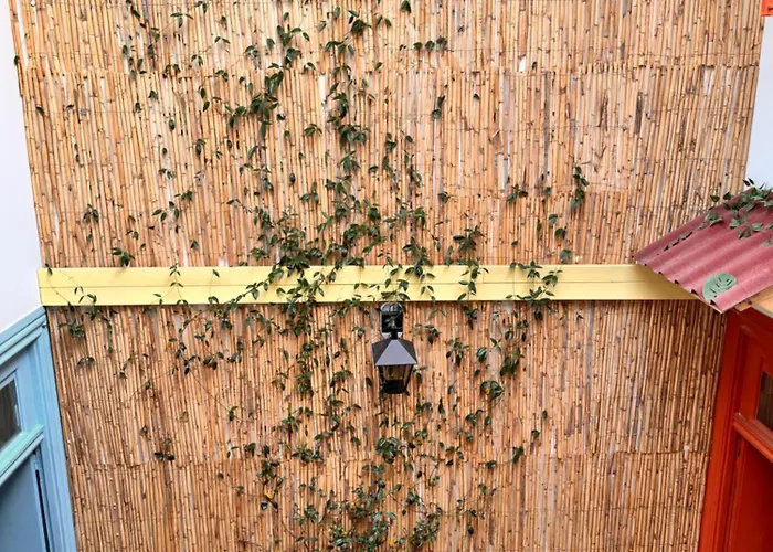 بيت شباب Samba