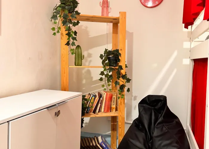 بيت شباب Samba