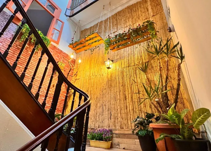 Auberge de jeunesse Samba *