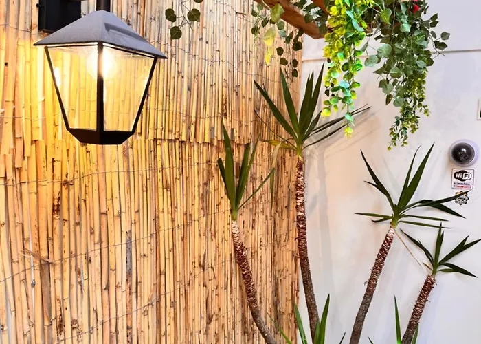 Auberge de jeunesse Samba *